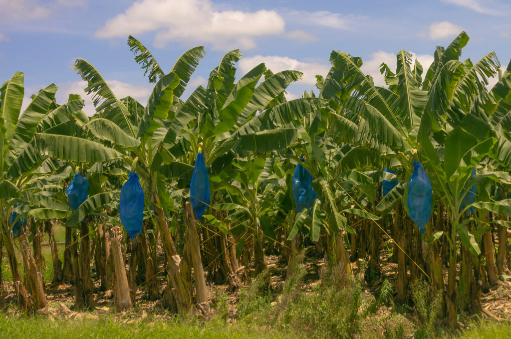 Hablemos de Negocios