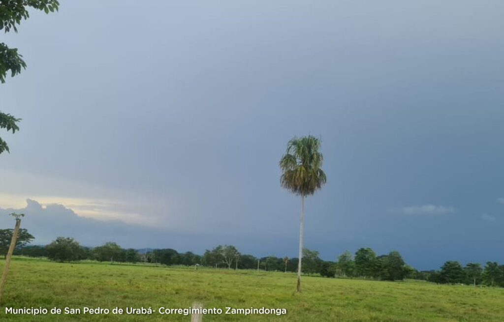 Municipio San Pedro de Urabá