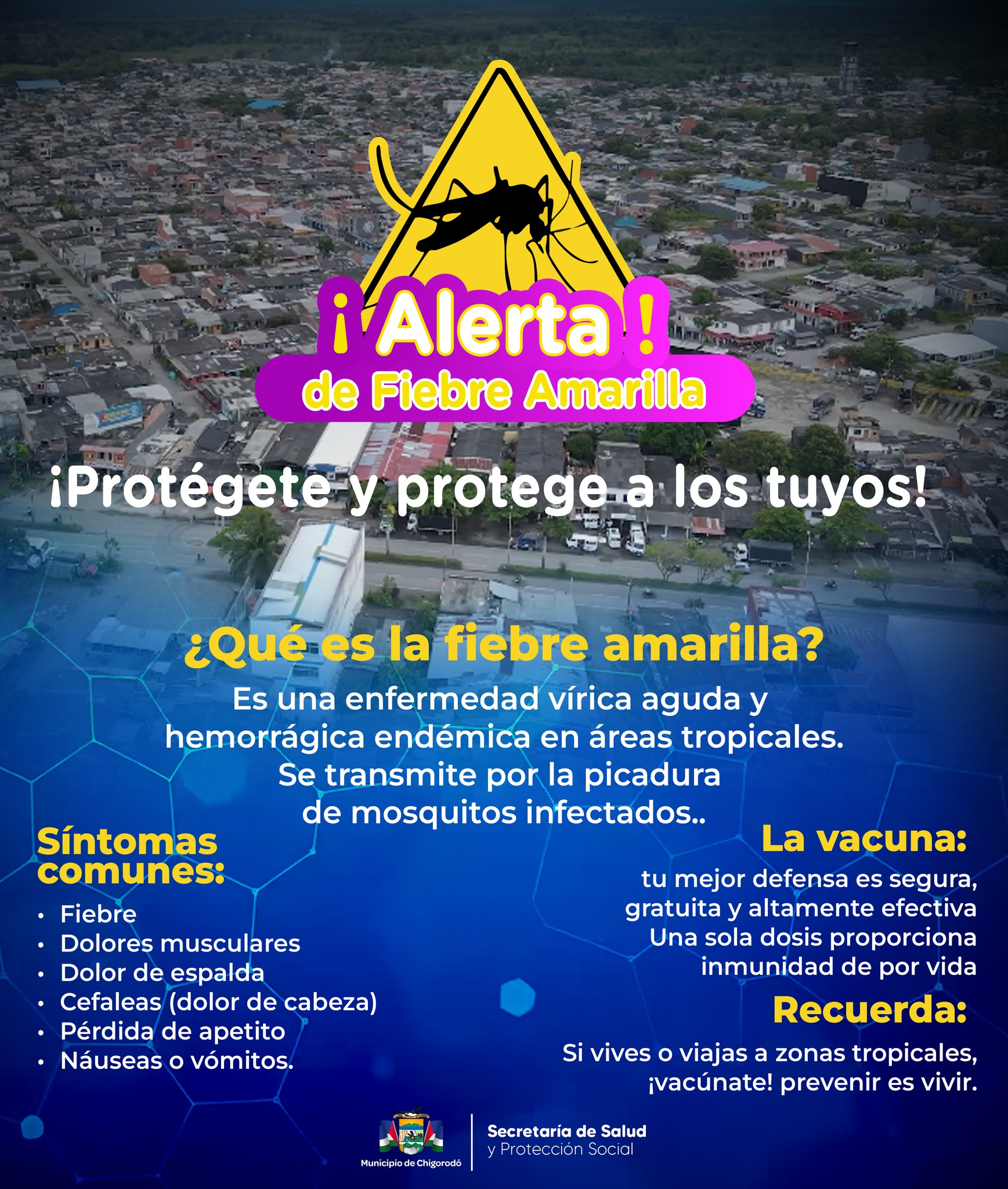 Fiebre amarilla